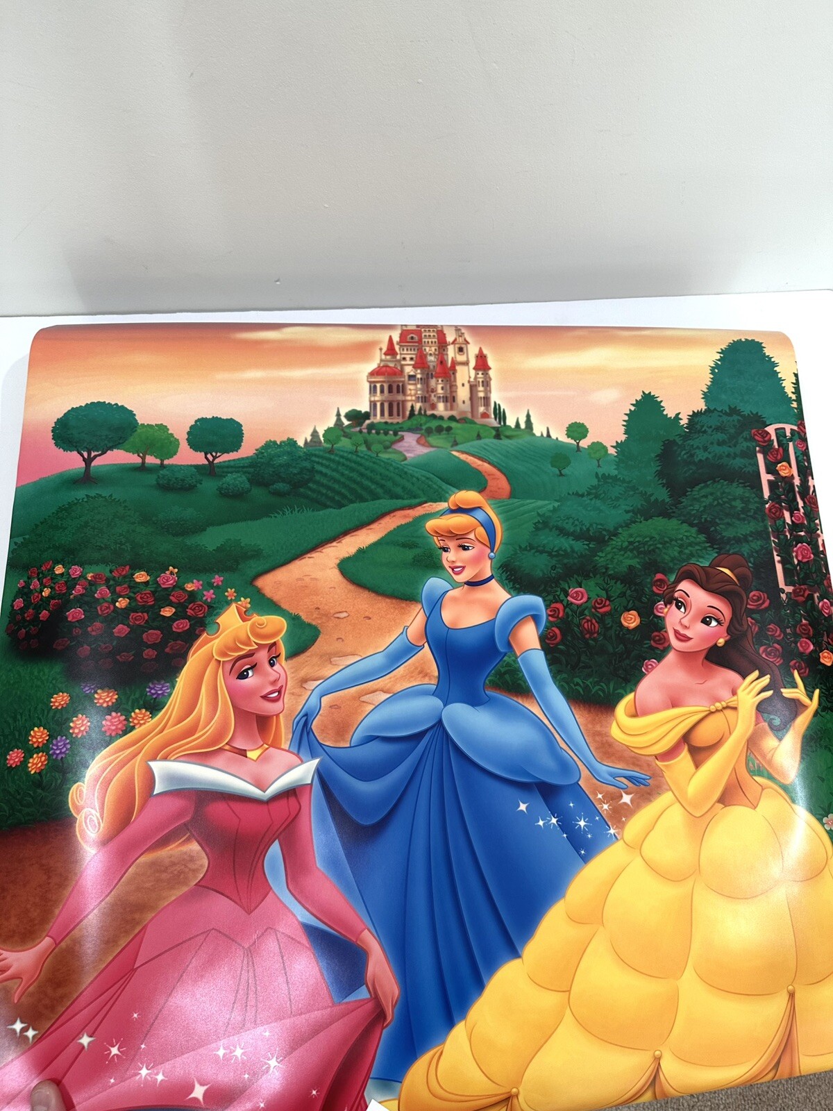 Rare NEW Artscape 24×36 Window Cling Art Disney Princess Belle Cinderella Aurora