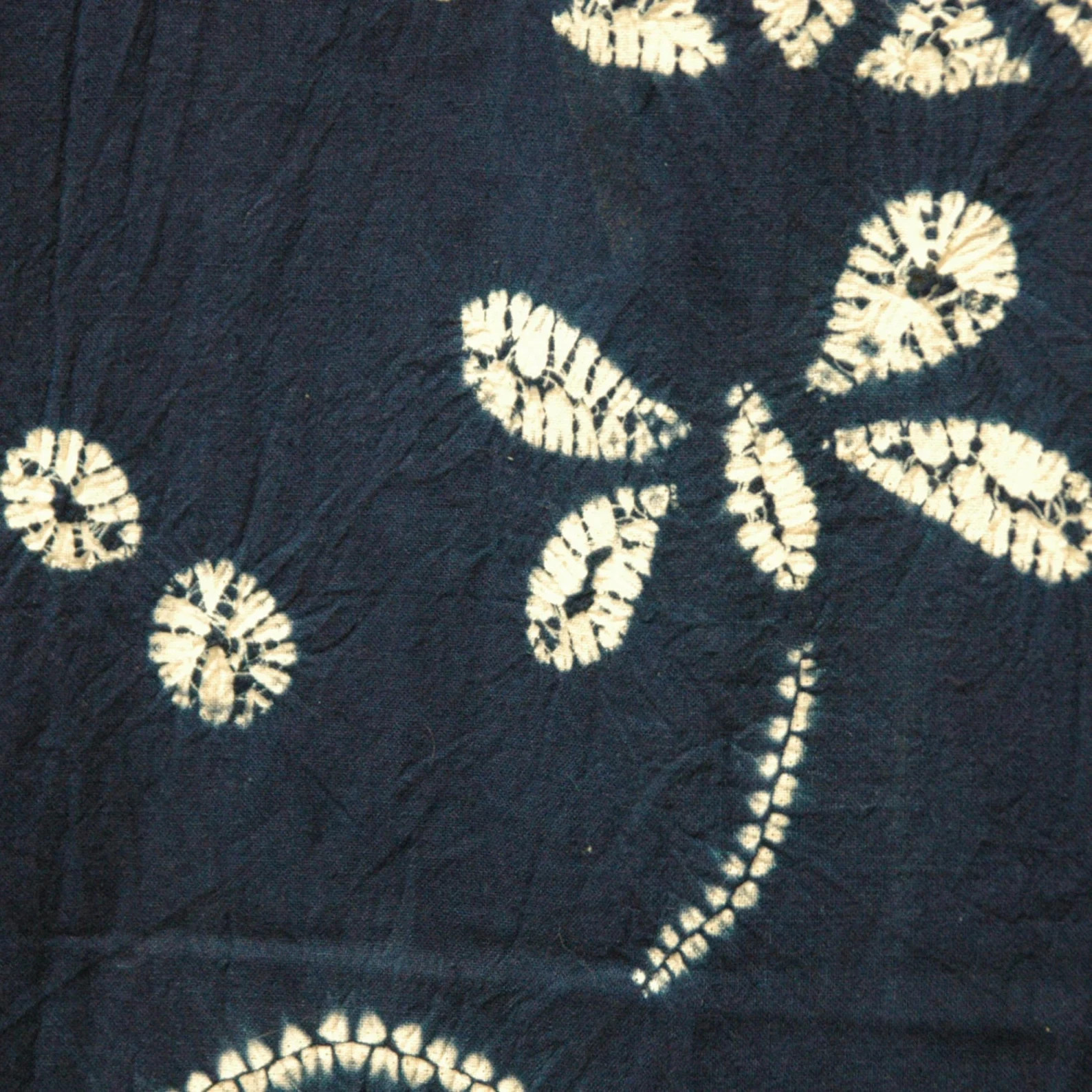 Dragonflies on navy blue