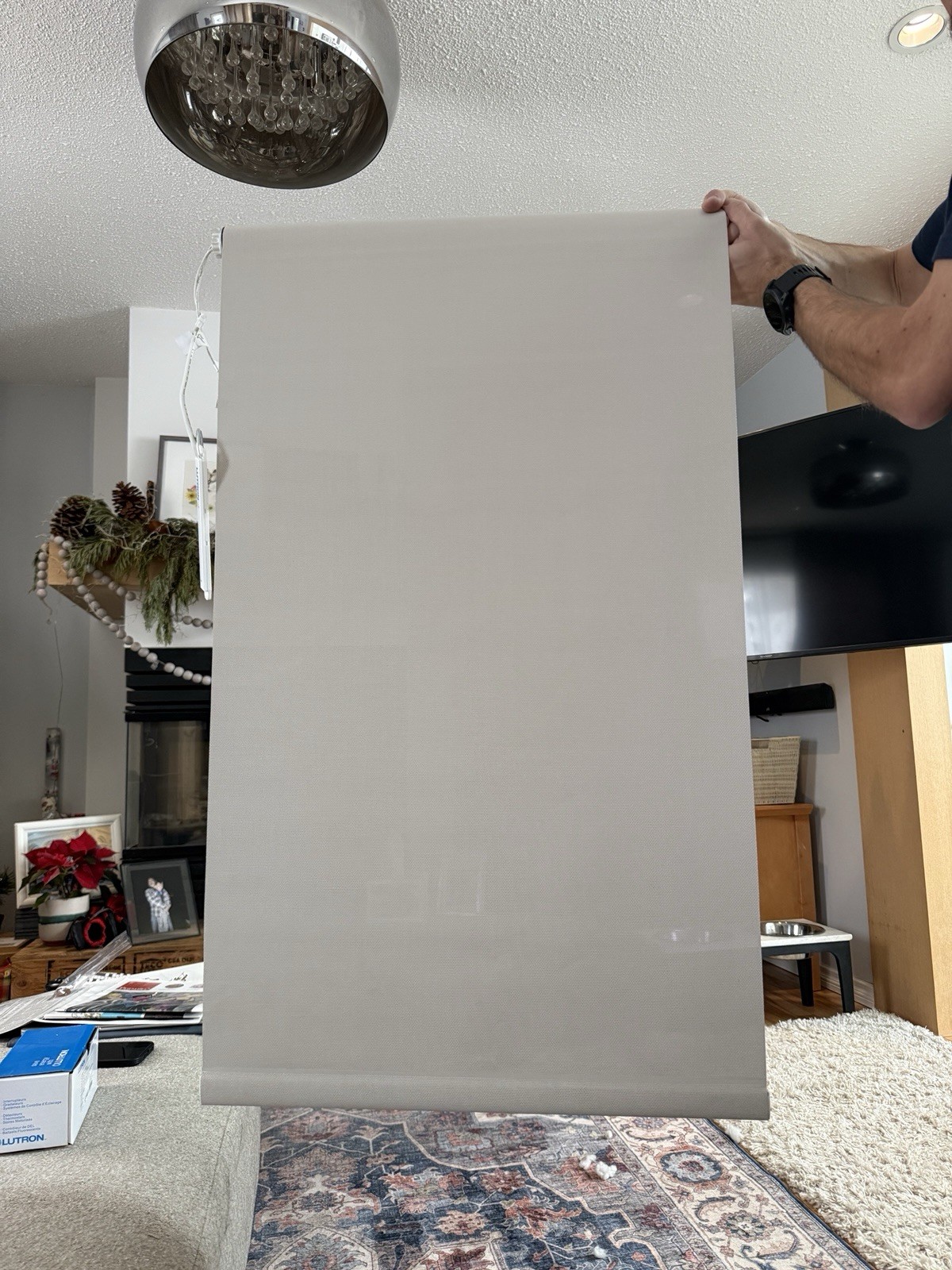 Lutron Sivoia QS Wireless Shade