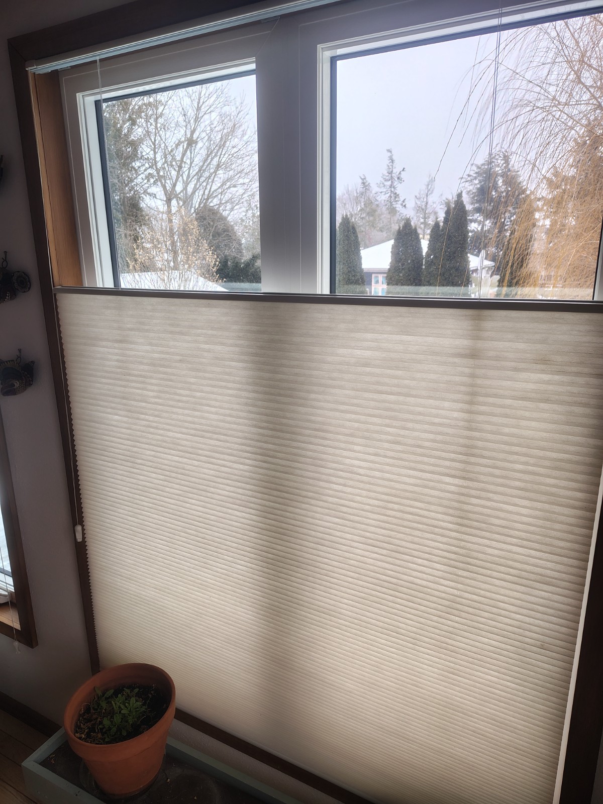 Energy-saving double cell, cellular window shades top-down bottom-up.