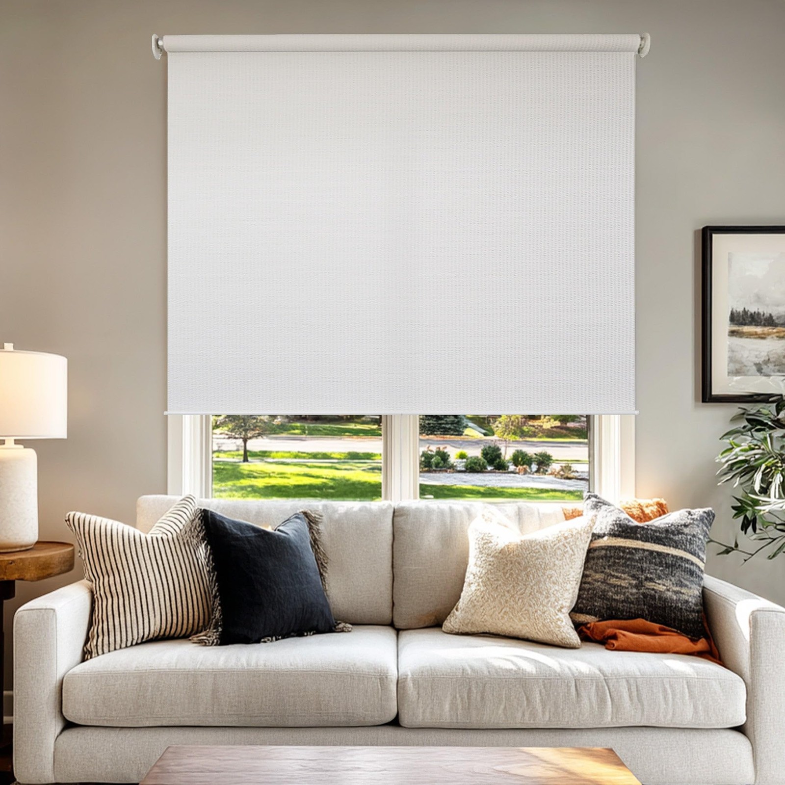 Chicology Roller Shades Cordless Blinds Window Shades For Home Roller Window