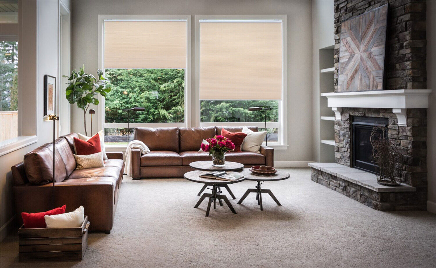 Honeycomb Privacy Light Filtering Cordless Cellular Shades Window Blind Blackout
