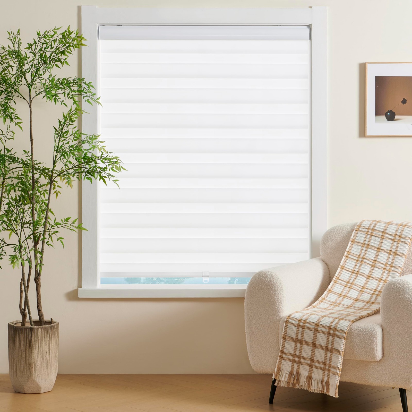 JIANGPIN TEXTILE Cordless Zebra Blinds 63″ W X 72″ H, White)