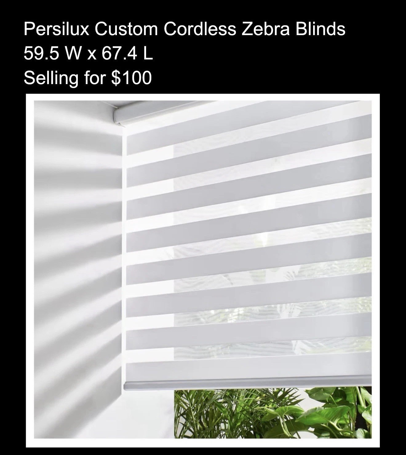 Persilux Cordless Zebra Blinds 59.5×67.4 White Light Filtering Blackout A216-1