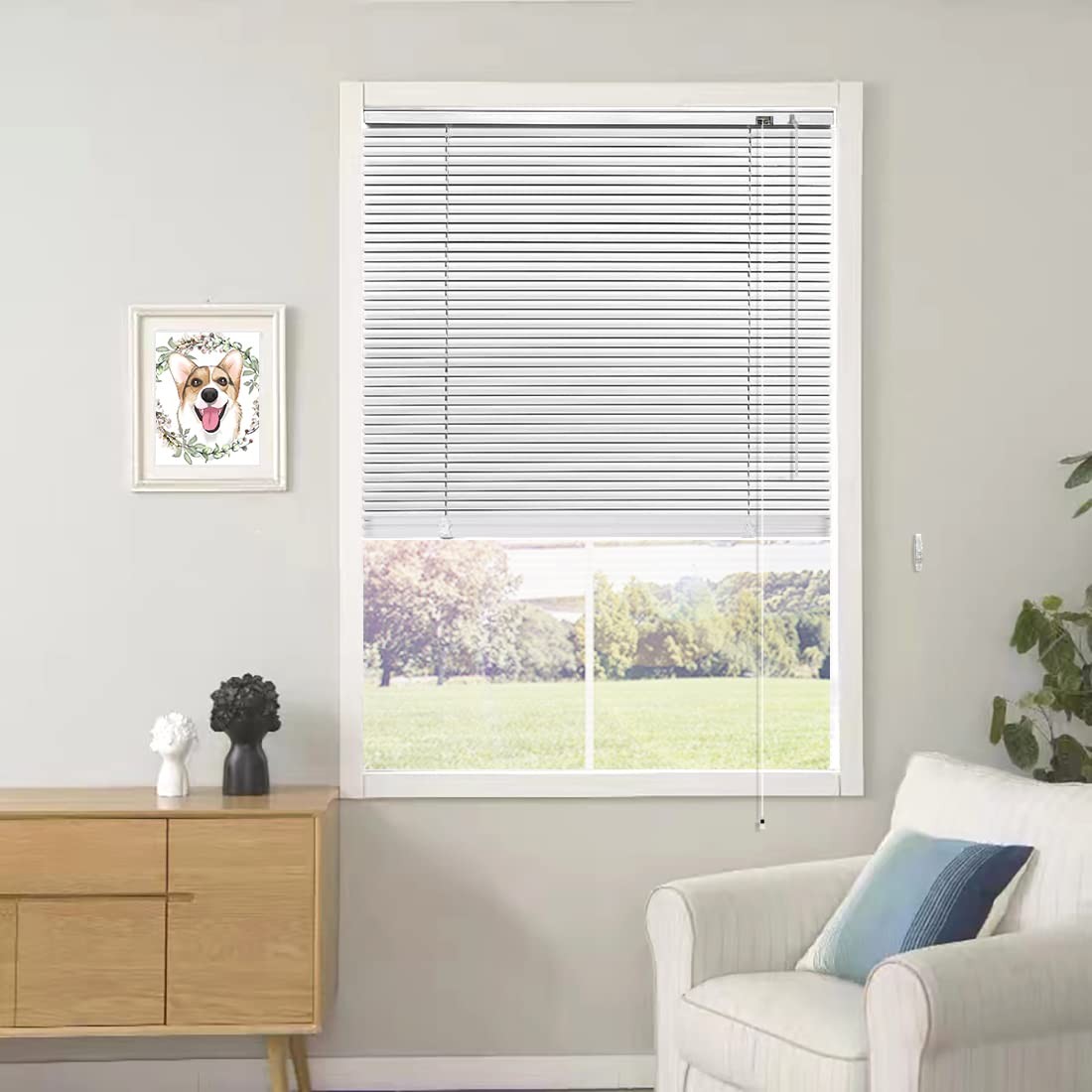 Mini Blinds Suitable for 20″ W x 64″ H Windows 1″ Aluminum Horizontal Venetia…