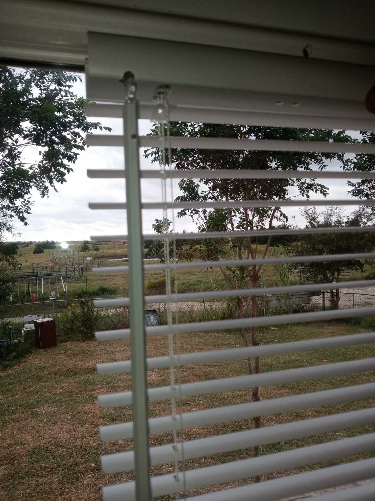 Champion 1 In. Aluminum 25 In. X 72 In. Room Darkening Mini Blind, 484919