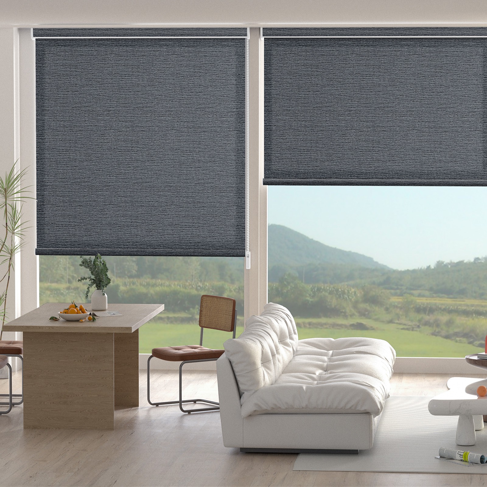 Changshade CUSTOM Corded Light Filtering Waterproof Window Blinds Roller Shades