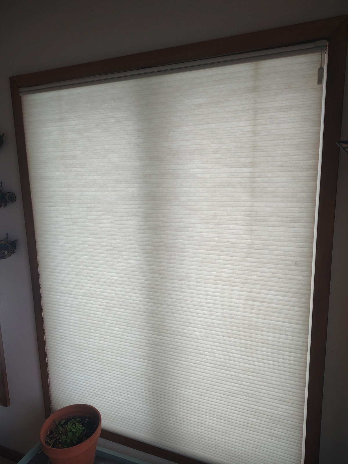 Energy-saving double cell, cellular window shades top-down bottom-up.