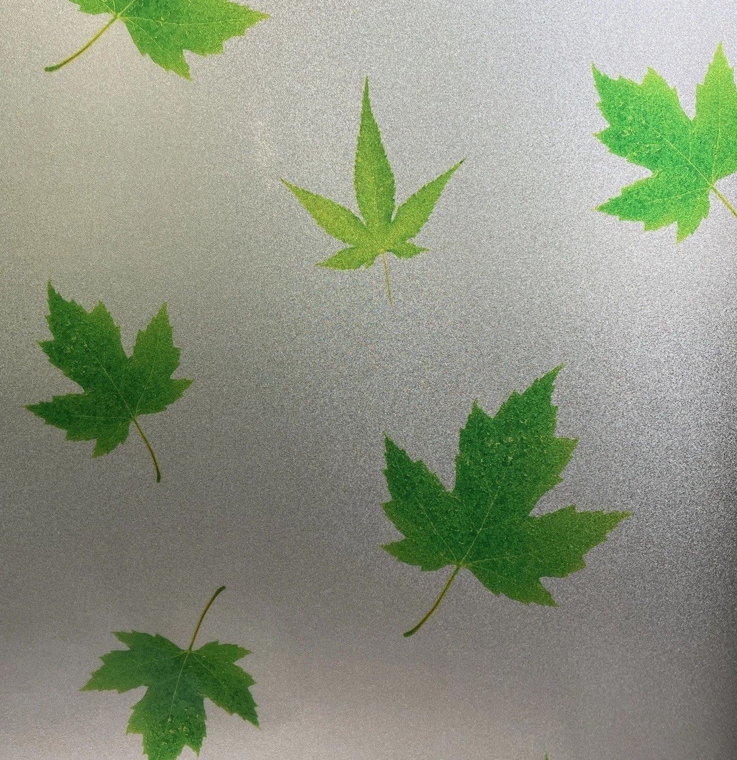 2 Window Film Privacy Sugar Maple Green Leaves Frosted Windows Glass 17” X 79”