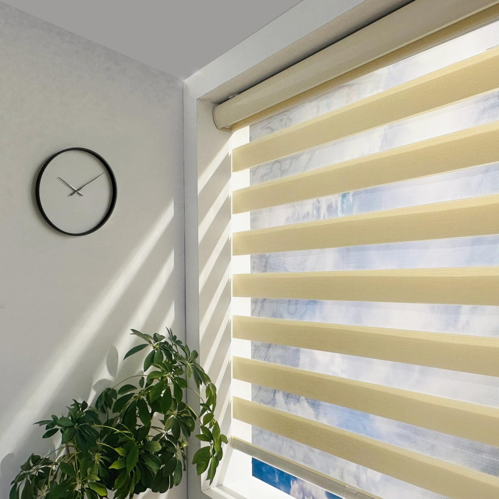 Cordless Zebra Blinds – Light Filtering Dual-Layer Window Shades for Privacy …