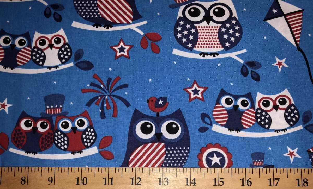 Owl Birds Red White Blue July 4th Patriotic Owls on Tree Branches Blue Curtain