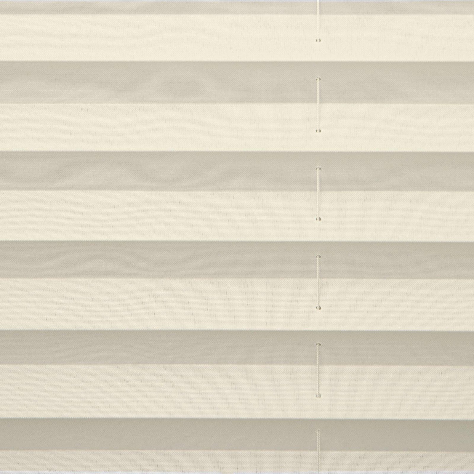 Dez Furnishings Cordless 1 Signature Light Filtering Pleated Fabric Shade 48 W