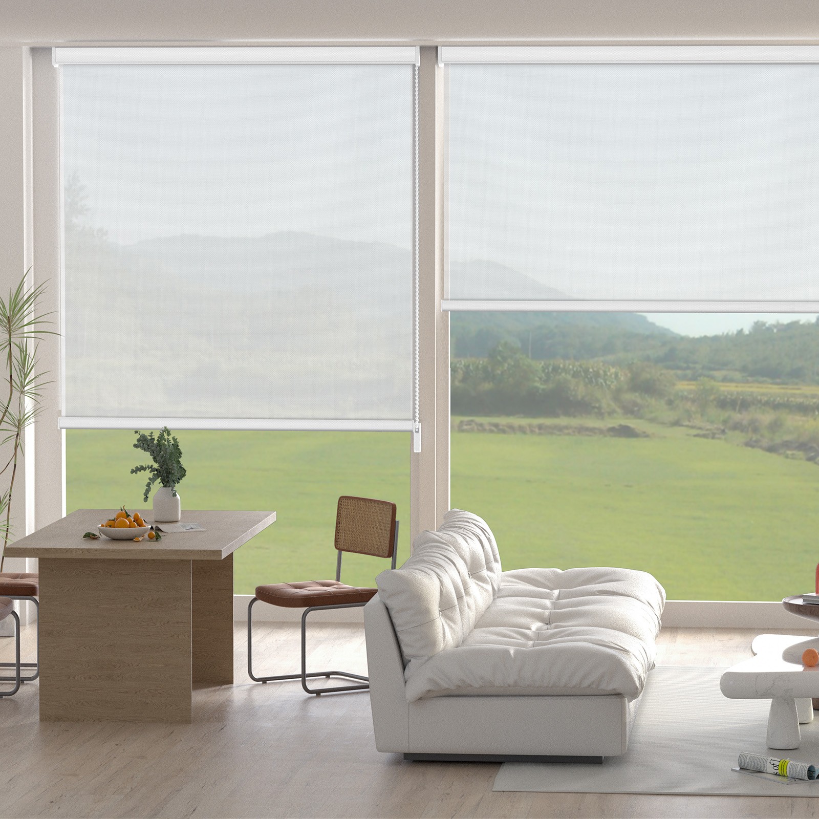 Changshade CUSTOM Light Filtering Window Blinds Roller Shades Easy Installation