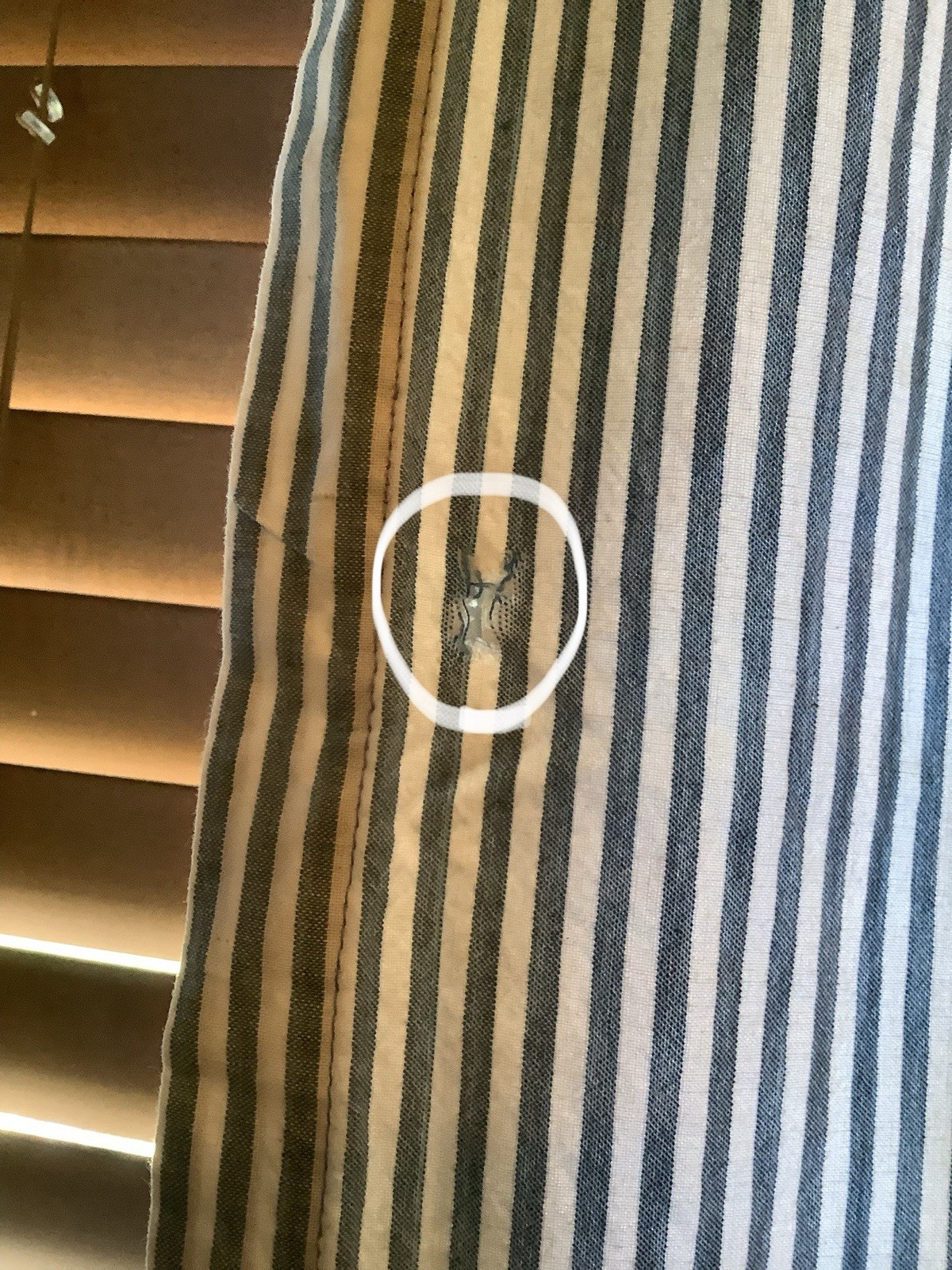 Blue Ticking Cotton Fabric Tab Top Curtains Made In India