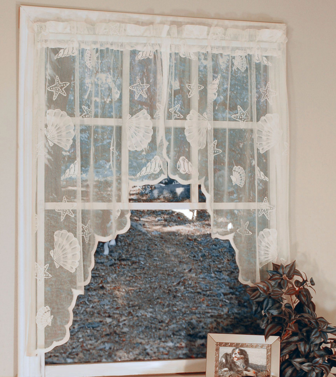 Seashells Lace Swag Valance Pair 56 x 38