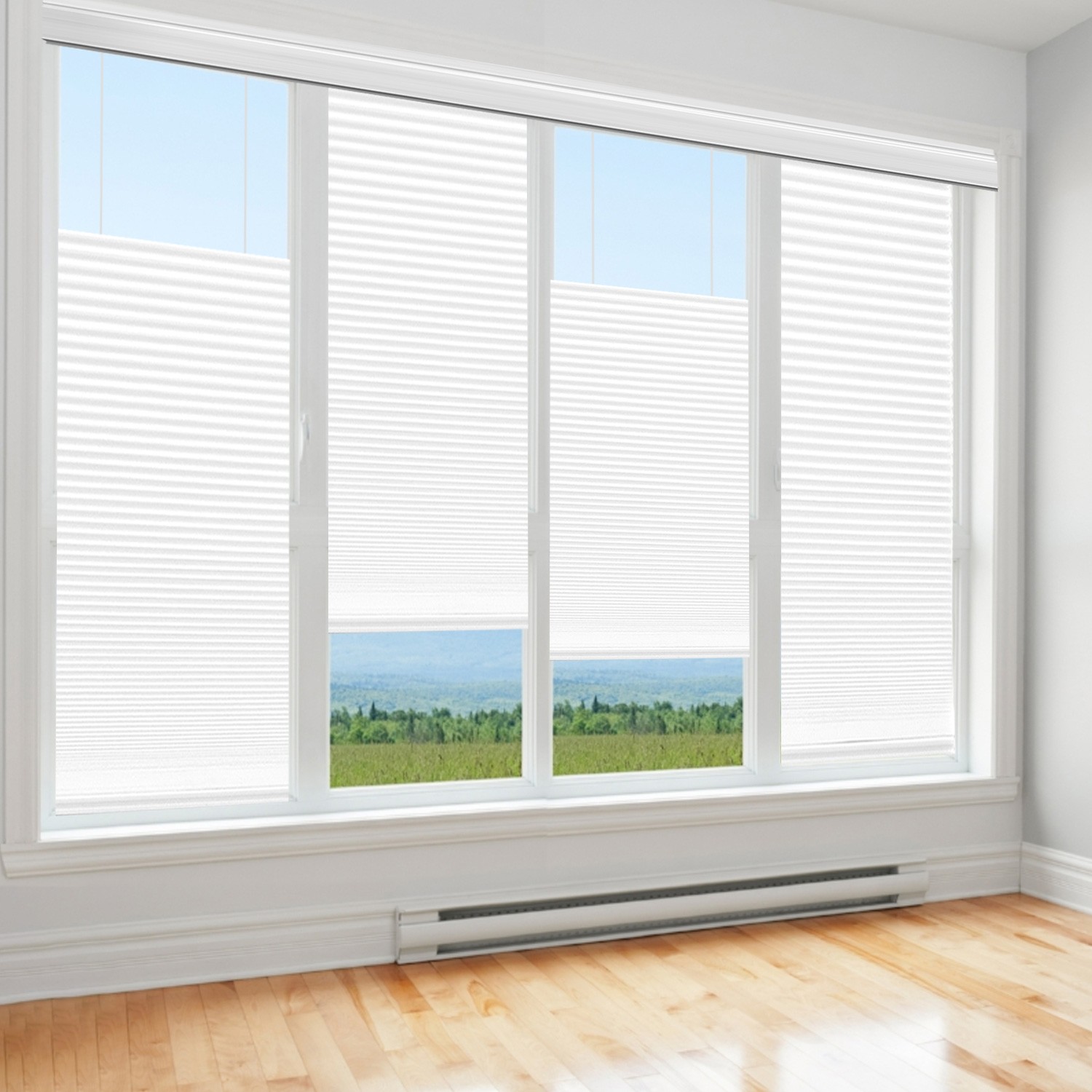 Privacy 48″W x 64″H Blinds Cellular Pleated Honeycomb Top-Down Cordless Shades
