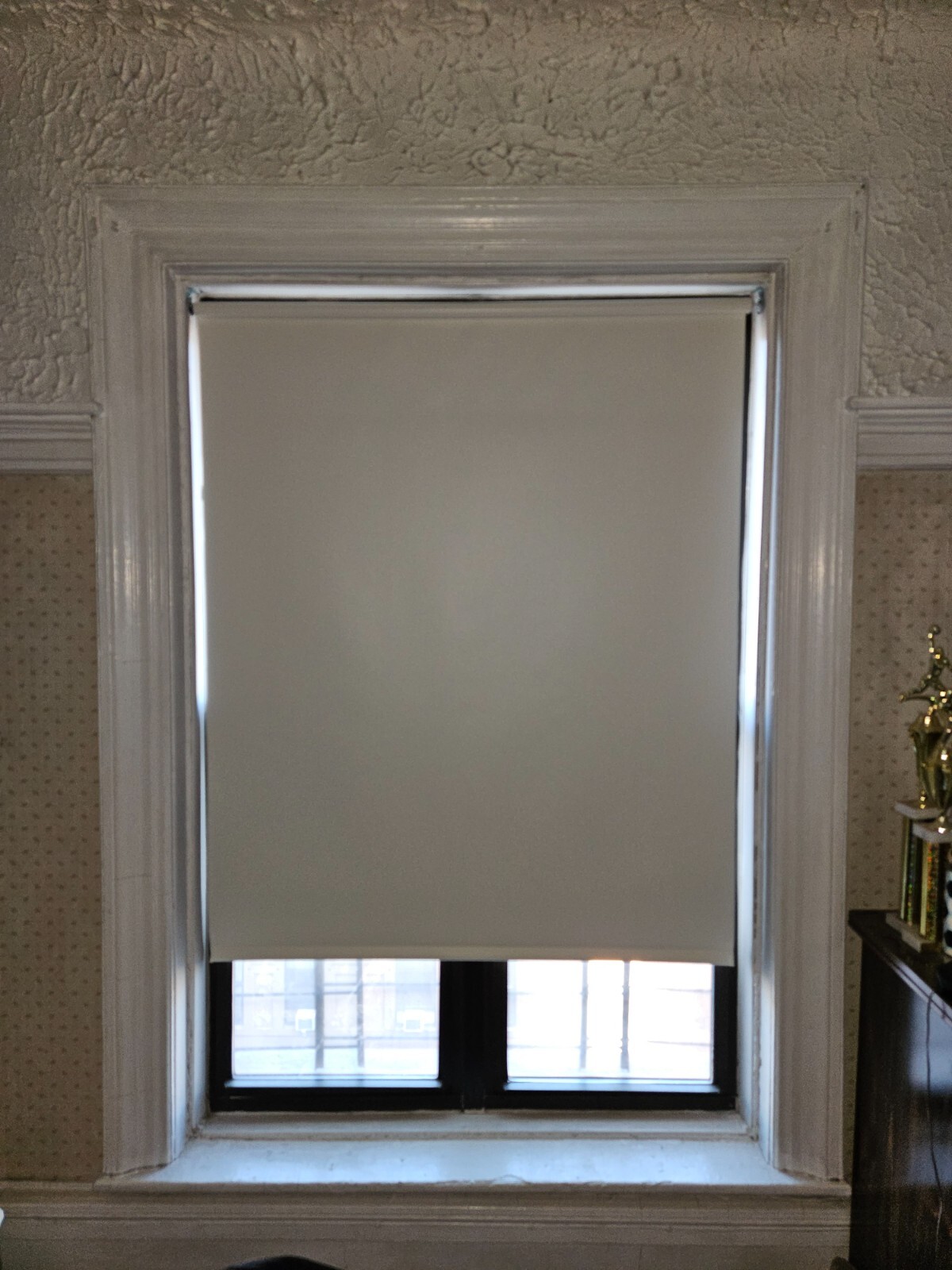 New Select Blinds Beige Window Shade 47 x 72 in